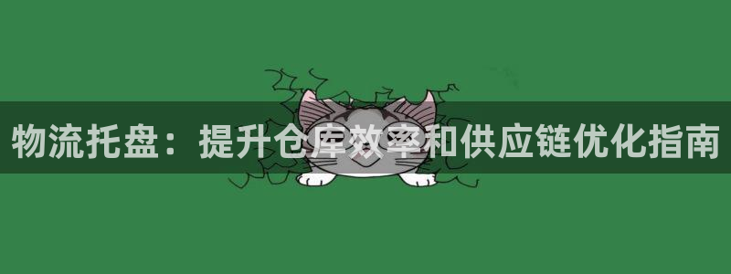 28圈.ccmpc预测