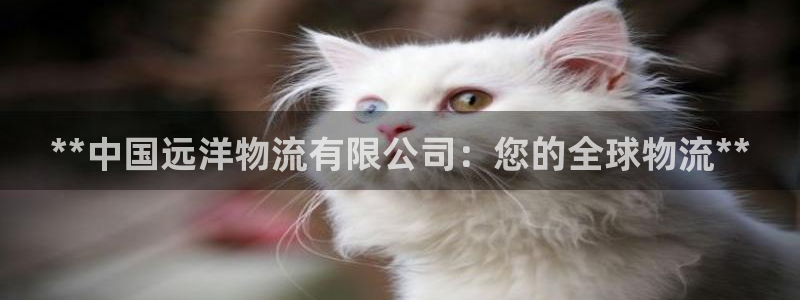 28圈激活码