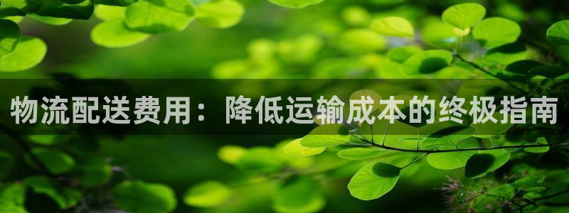 28圈连接：物流配送费用：降低运输成