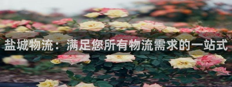 28圈登录流程：盐城物流：满足您所有