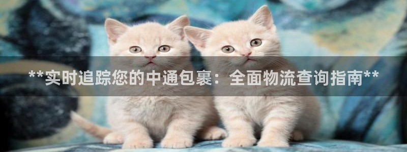 28圈初始密码在哪里修改：**实时追