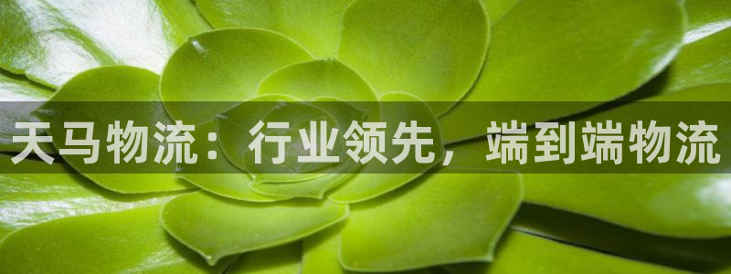 28圈官网网站：天马物流：行业领先，