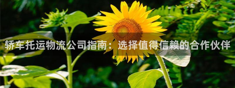 28圈下载链接是多少：轿车托运物流公
