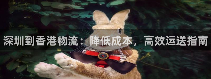 28圈旗下：深圳到香港物流：降低成本