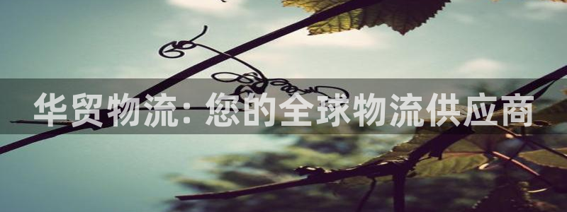 28圈是什么是赌博吗?
