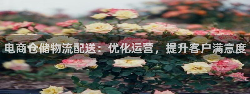 28圈起来的符号：电商仓储物流配送：优化运营，提升客户满意度
