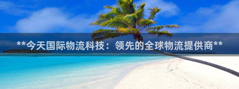 28圈登录流程：**今天国际物流科技：领先的全球物流提供商*
