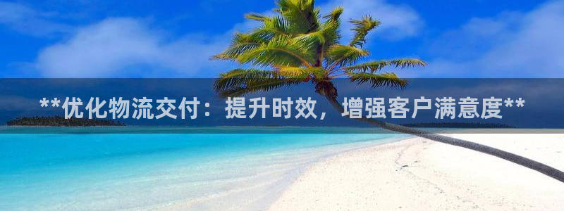 28圈官方版网站：**优化物流交付：提升时效，增强客户满意度