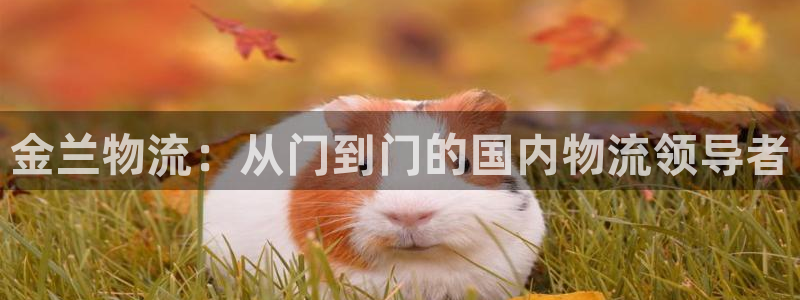 28圈充值金额随便