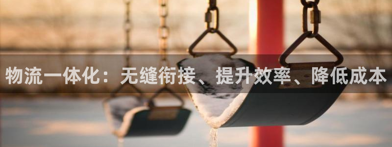 28圈充值不处理：物流一体化：无缝衔