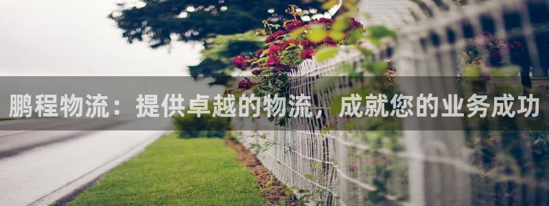 28圈注册网站多少钱一个：鹏程物流：