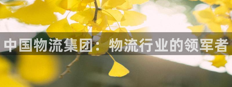 28圈赌博软件正规吗：中国物流集团：