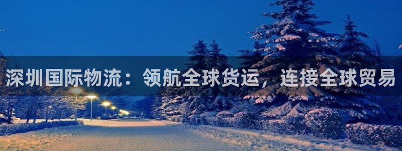 28圈下载链接是多少：深圳国际物流：