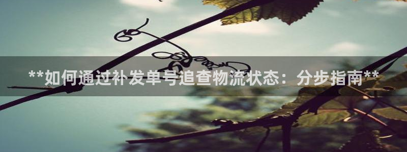 28圈开奖预测：**如何通过补发单号