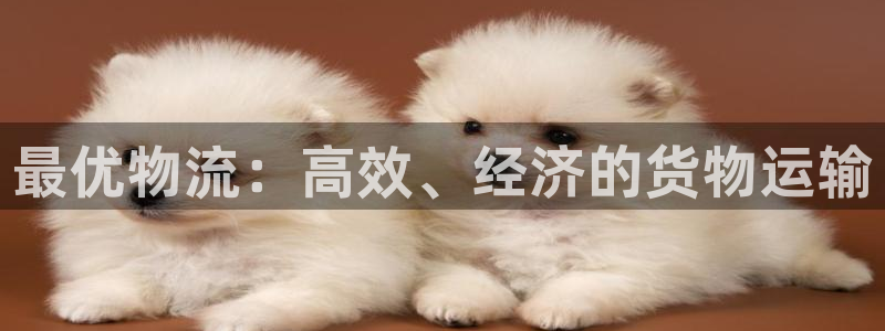 28圈流水怎么算：最优物流：高效、经