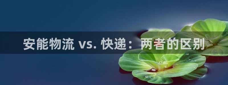 28圈注册网站链接是什么：安能物流 vs. 快递：两者的区别