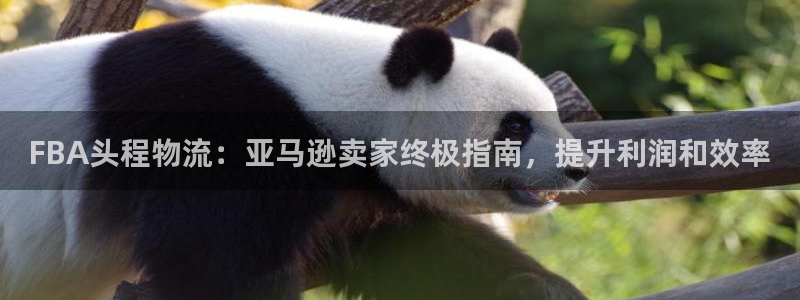 28圈平台注册：FBA头程物流：亚马