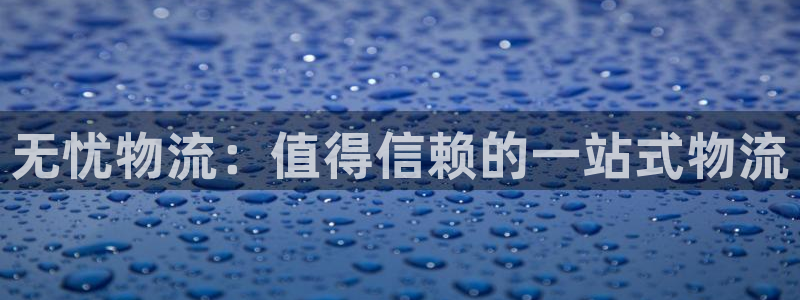 28圈加拿大预测：无忧物流：值得信赖