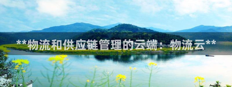 28圈.ccmpc29官网版下载：**物流和供应链管理的云端