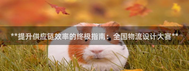 28圈官方官网版：**提升供应链效率的终极指南：全国物流设计