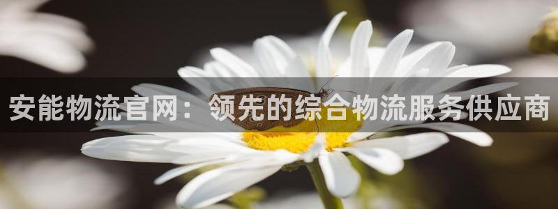 28圈登录网：安能物流官网：领先的综