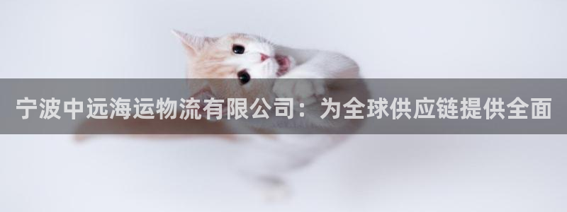 28圈哪个最赚钱：宁波中远海运物流有