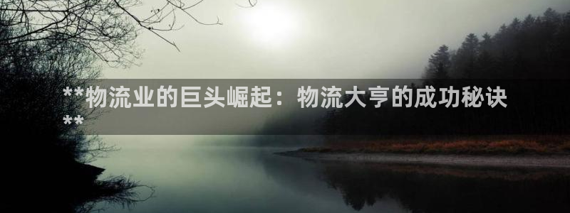 28圈pg麻将胡了：**物流业的巨头