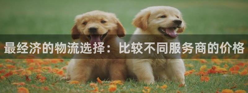 28圈充值不处理会怎么样：最经济的物