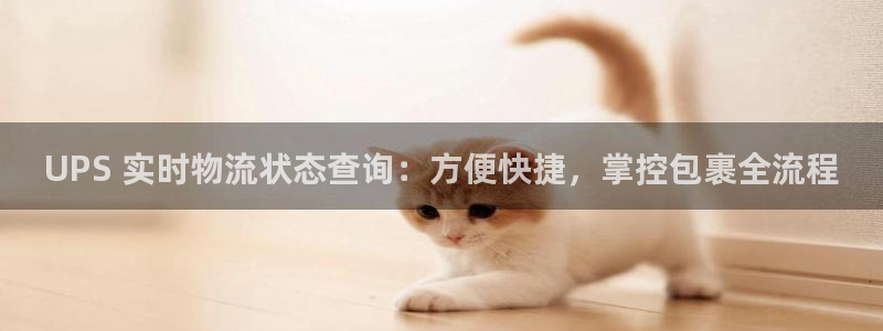 28圈客服电话：UPS 实时物流状态
