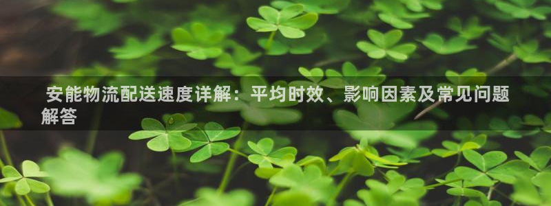28圈模拟： 安能物流配送速度详解：