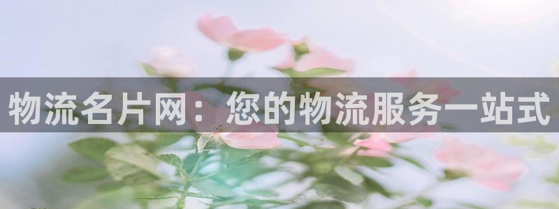 28圈是干嘛的：物流名片网：您的物流