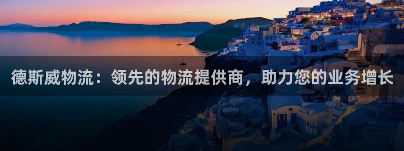 28圈能赢钱吗：德斯威物流：领先的物