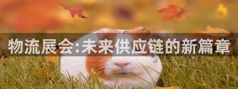 28圈pg麻将胡了