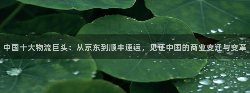 28圈黑款
