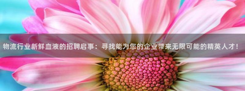 28圈反水什么时候到