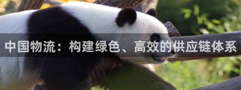 28圈官方版正版