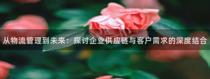 28圈官方版网站