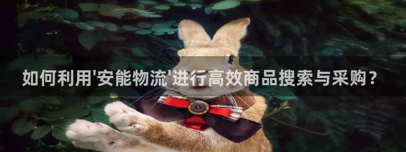 28圈预测网