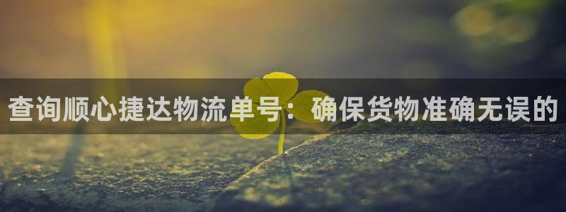 28圈游戏最新版