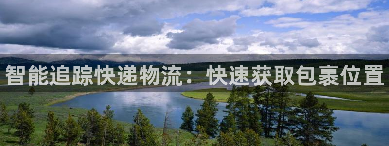 28圈网赌案件