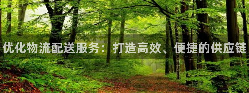 28圈返水怎么算的：优化物流配送服务