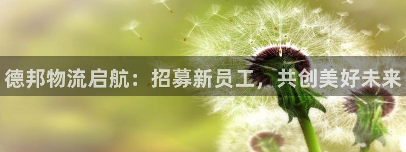 28圈怎么下载:德邦物流启航:招募新