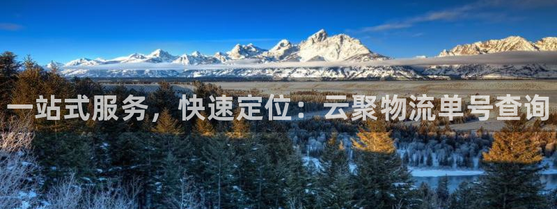 28圈登录不上咋回事：一站式服务，快