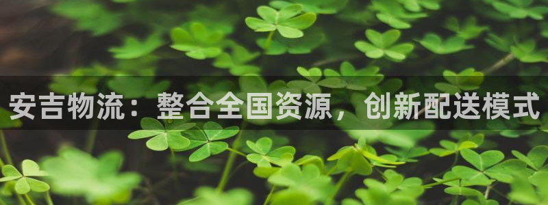 28圈注册网站：安吉物流：整合全国资