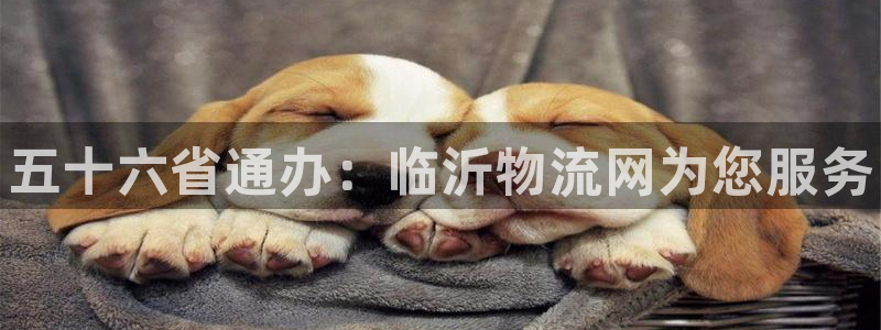 28圈aPP退款：五十六省通办：临沂