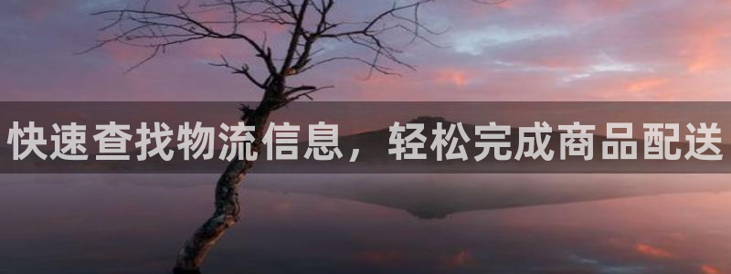 麻将128圈：快速查找物流信息，轻松