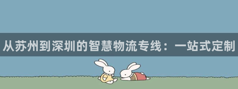 28圈取保:从苏州到深圳的智慧物流专