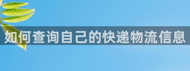 28圈在线预测官网