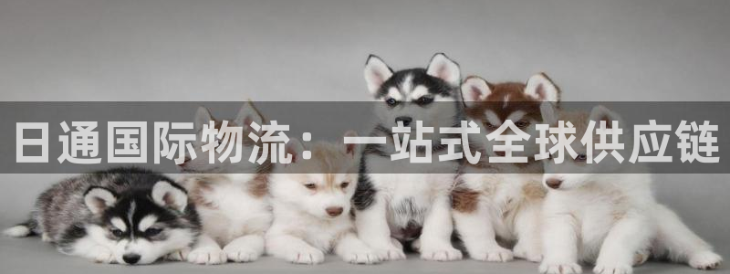 28圈p扣除是什么意思