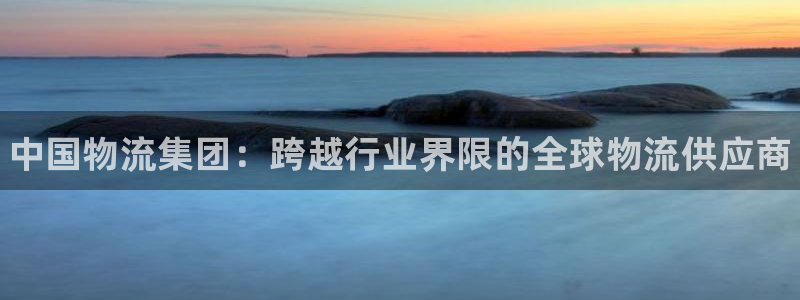 28圈注册条件：中国物流集团：跨越行